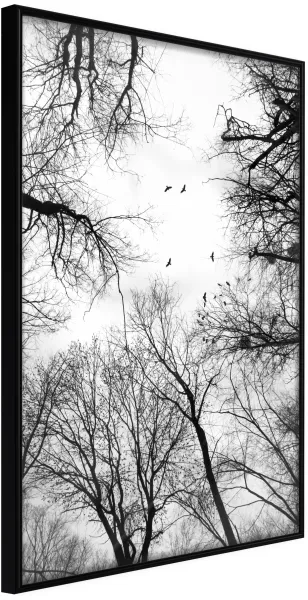 ARTGEIST Plakat z ramą - Treetops Czarna 40x60